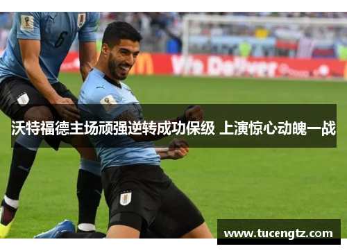 沃特福德主场顽强逆转成功保级 上演惊心动魄一战