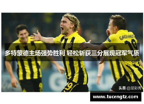 多特蒙德主场强势胜利 轻松斩获三分展现冠军气质